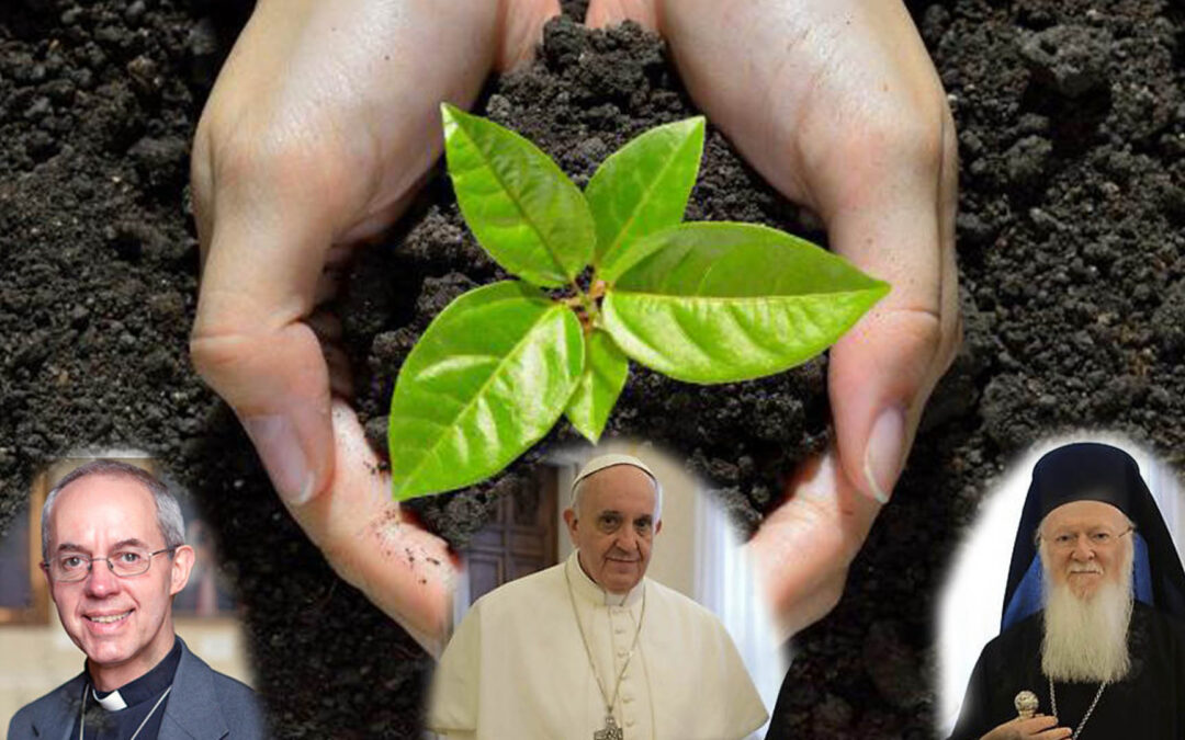 Papa Francisco y líderes de Iglesias se unen en Mensaje conjunto por la protección de la Creación